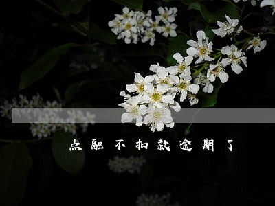 点融不扣款逾期了 点融不扣款逾期了