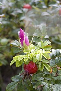 点融借口逾期 点融借口逾期