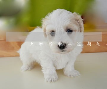 点融借款人逾期怎么办 点融借款人逾期怎么办