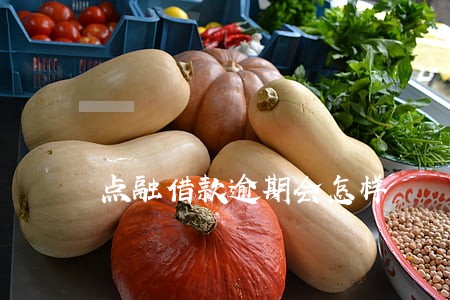 点融借款逾期会怎样