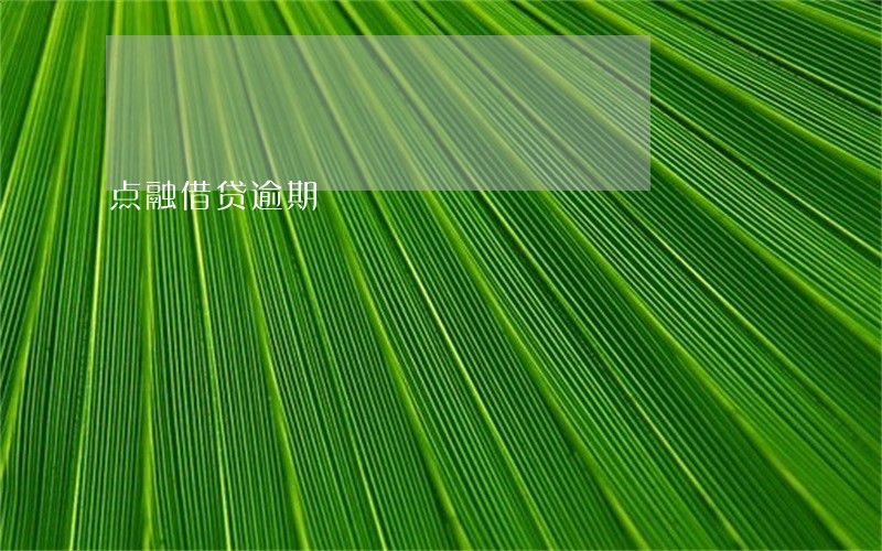 点融借贷逾期 点融借贷逾期