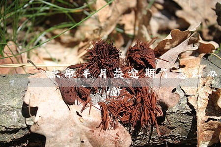 点融半月盈逾期了怎么办 点融半月盈逾期了怎么办