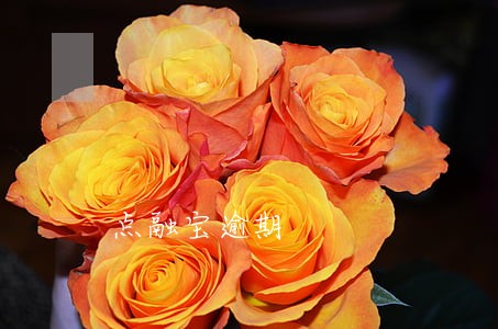 点融宝逾期 点融宝逾期