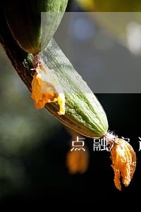点融宝逾期一天会什么样 点融宝逾期一天会什么样