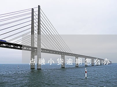 点融小贷逾期怎么办 点融小贷逾期怎么办