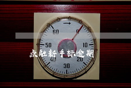 点融新手标逾期 点融新手标逾期