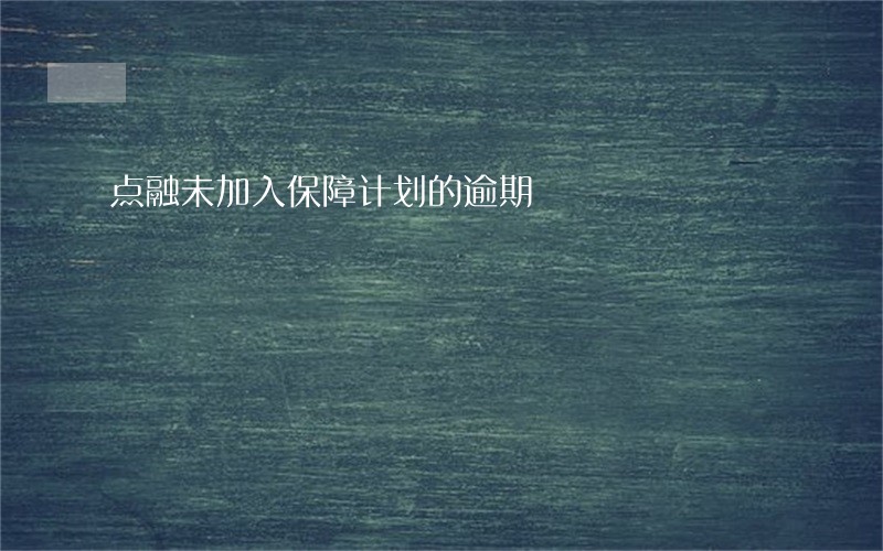 点融未加入保障计划的逾期