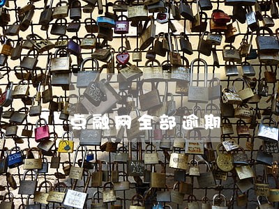 点融网全部逾期 点融网全部逾期