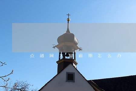 点融网大量逾期怎么办 点融网大量逾期怎么办