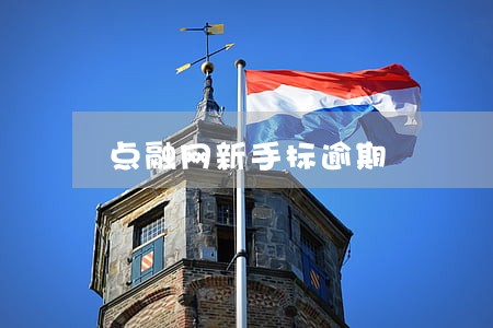 点融网新手标逾期 点融网新手标逾期