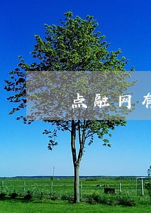 点融网有多少逾期的 点融网有多少逾期的