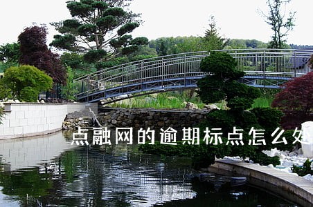 点融网的逾期标点怎么处理的
