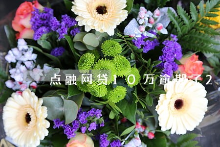 点融网贷10万逾期了2年会怎样 点融网贷10万逾期了2年会怎样