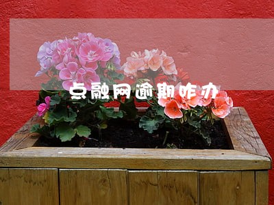 点融网逾期咋办 点融网逾期咋办