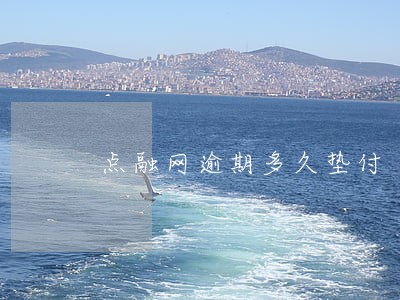 点融网逾期多久垫付 点融网逾期多久垫付