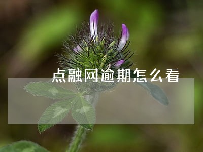 点融网逾期怎么看 点融网逾期怎么看