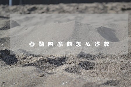 点融网逾期怎么还款 点融网逾期怎么还款
