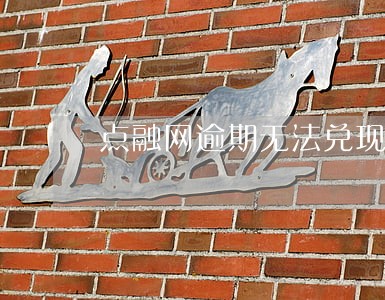 点融网逾期无法兑现 点融网逾期无法兑现