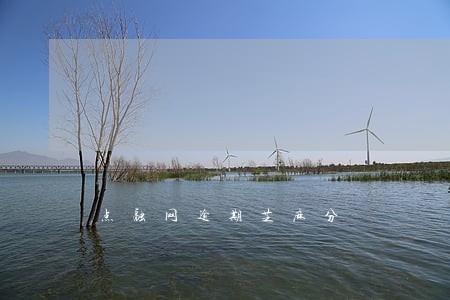 点融网逾期芝麻分 点融网逾期芝麻分