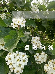 点融网钱急送逾期几天 点融网钱急送逾期几天