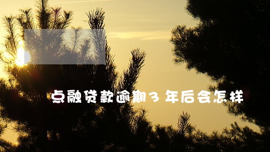 点融贷款逾期3年后会怎样