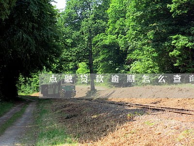 点融贷款逾期怎么查询 点融贷款逾期怎么查询