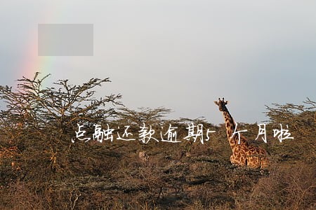 点融还款逾期5个月啦 点融还款逾期5个月啦