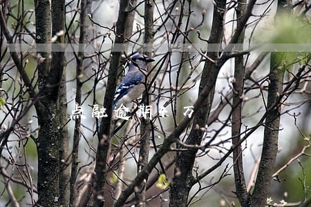 点融逾期4万 点融逾期4万