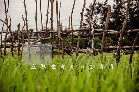 点融逾期6万2年了