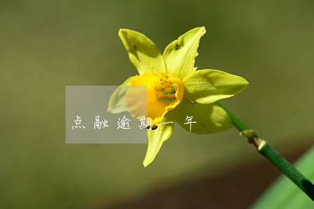 点融逾期一年 点融逾期一年