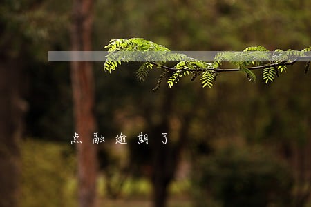 点融逾期了 点融逾期了