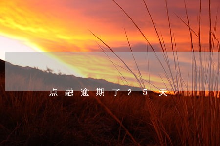 点融逾期了25天 点融逾期了25天