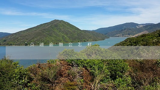 点融逾期会怎样 点融逾期会怎样