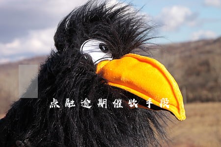 点融逾期催收手段 点融逾期催收手段