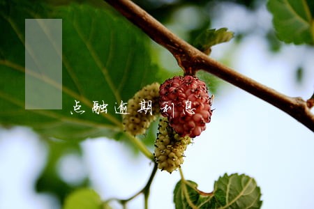 点融逾期利息 点融逾期利息