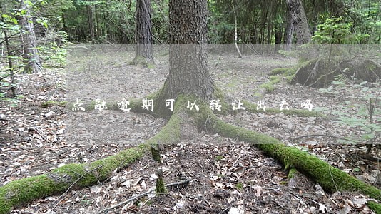 点融逾期可以转让出去吗 点融逾期可以转让出去吗