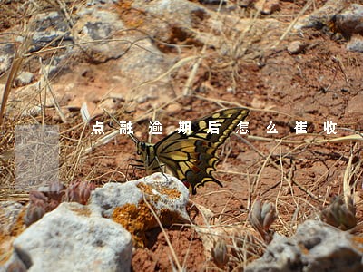 点融逾期后怎么崔收 点融逾期后怎么崔收