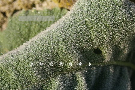 点融逾期我爱卡 点融逾期我爱卡