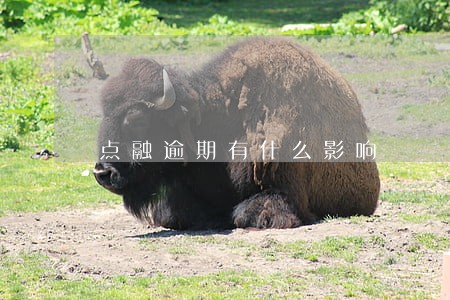 点融逾期有什么影响 点融逾期有什么影响
