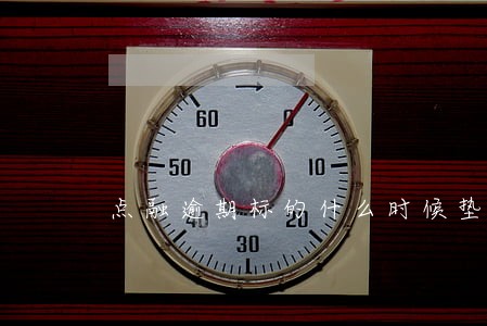 点融逾期标的什么时候垫付 点融逾期标的什么时候垫付