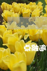 点融逾期率为什么这么高 点融逾期率为什么这么高