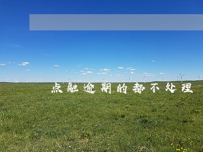 点融逾期的都不处理 点融逾期的都不处理