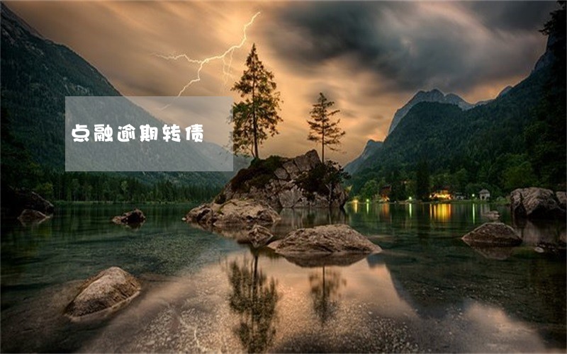 点融逾期转债 点融逾期转债