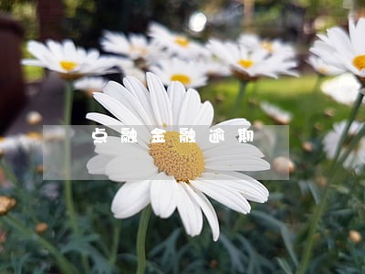 点融金融逾期 点融金融逾期