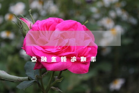 点融金额逾期率 点融金额逾期率