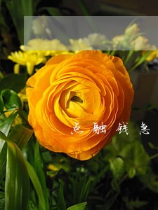 点融钱急送逾期 点融钱急送逾期