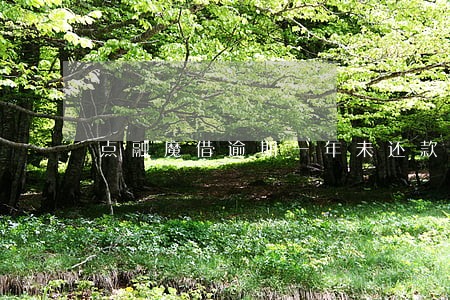 点融魔借逾期一年未还款 点融魔借逾期一年未还款