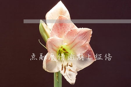 点融魔借逾期上征信 点融魔借逾期上征信