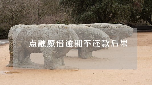 点融魔借逾期不还款后果 点融魔借逾期不还款后果