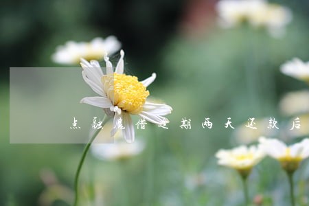 点融魔借逾期两天还款后还能借吗 点融魔借逾期两天还款后还能借吗